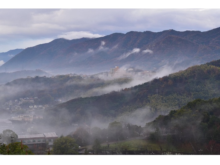 �R������̕��i