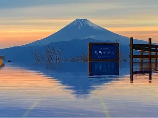 伊豆パノラマパーク往復券のイメージ