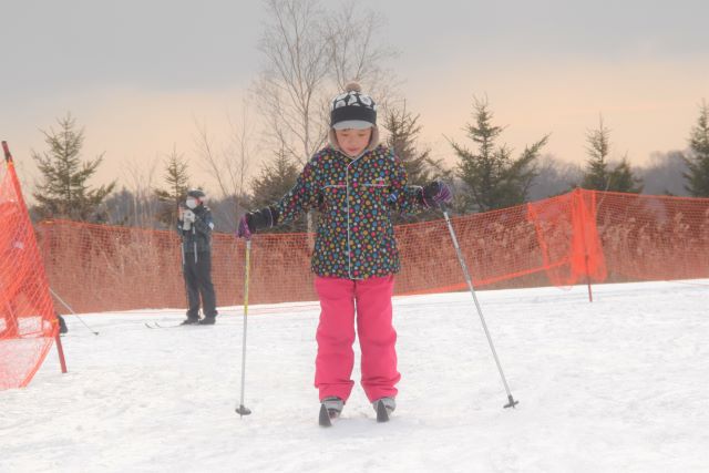 �����X�L�[