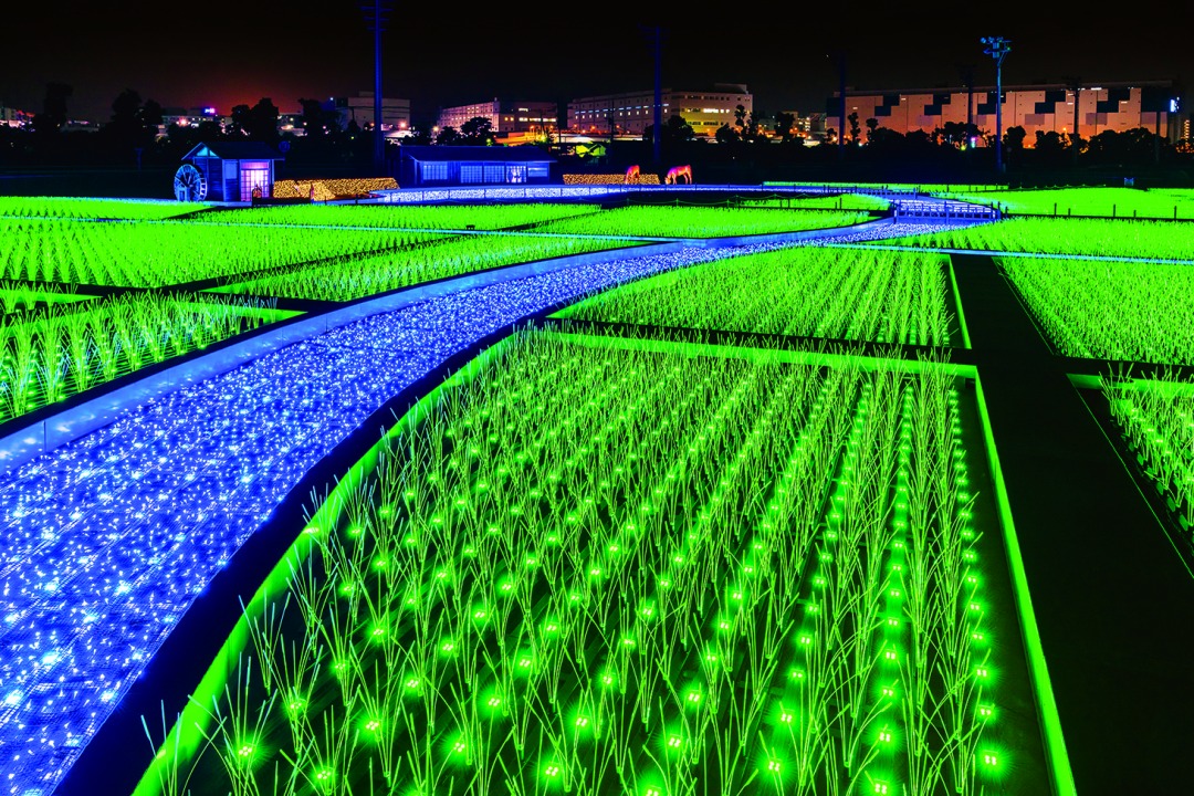 �������K�C���~�i��䋣�n��j�̃C���[�W