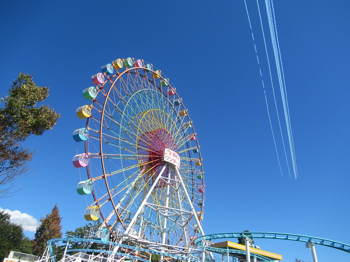 �b�ߋ������_�[�����h