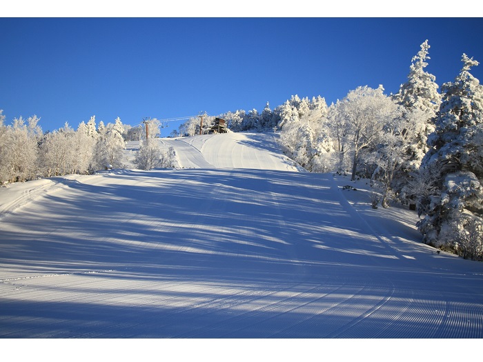 �ؑ]�����X�L�[��