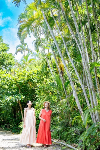 まいぱり宮古島熱帯果樹園