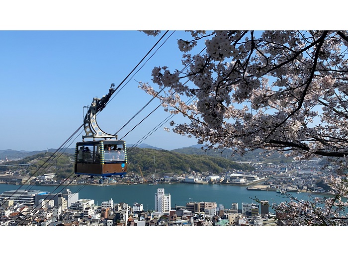 ���[�v�E�F�C����̕��i