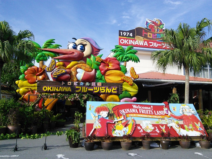 OKINAWA�t���[�c����