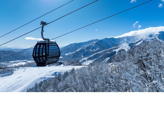 ���n��x�X�m�[�t�B�[���h