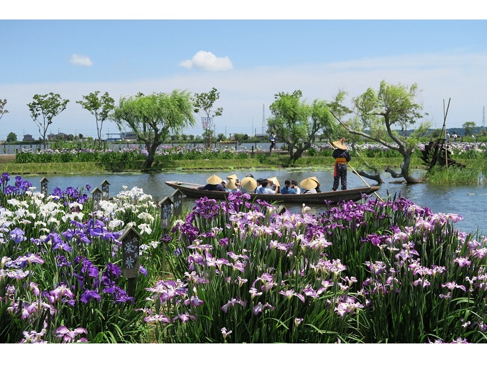 ������������߃p�[�N