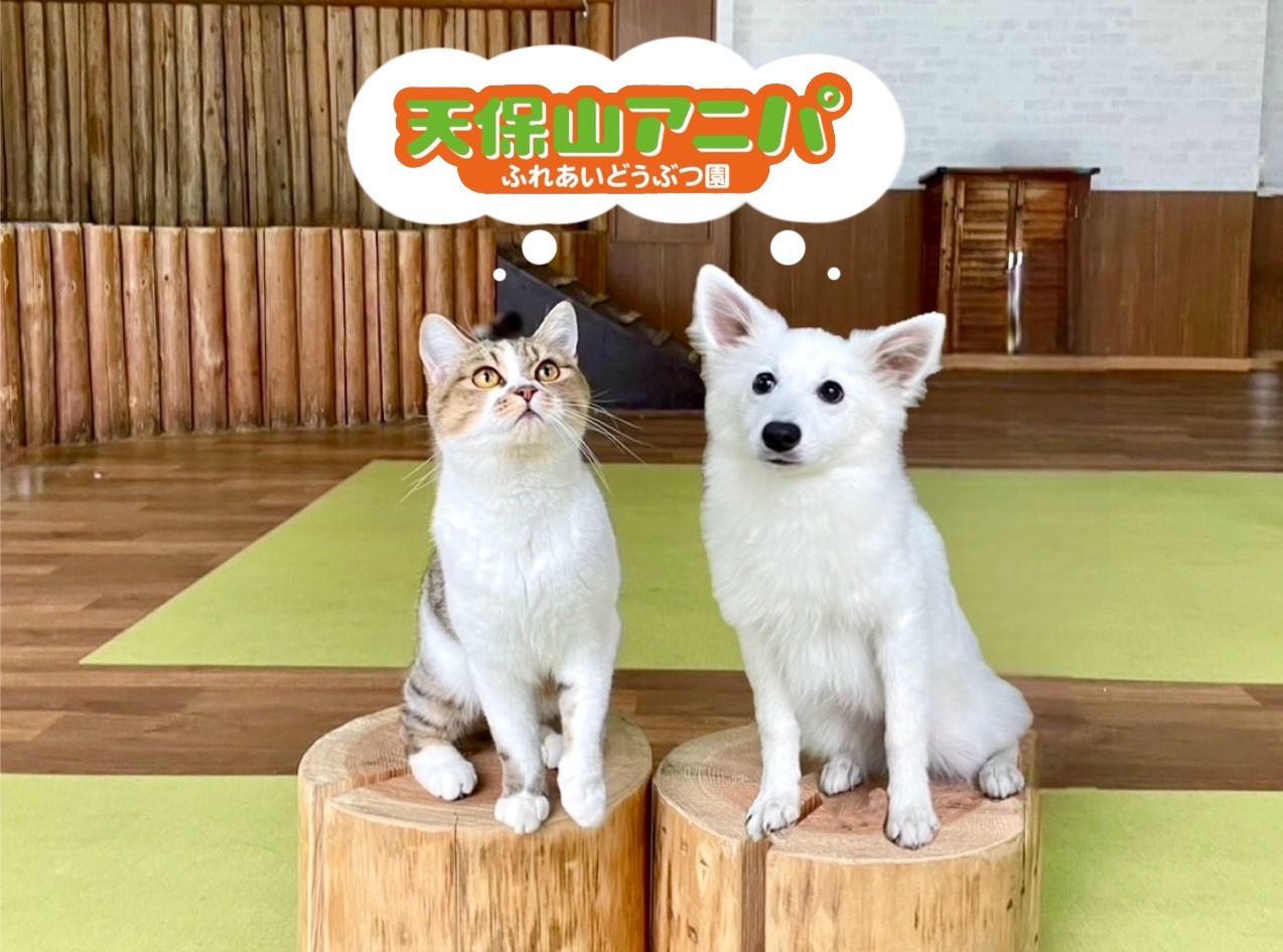 �V�ێR�A�j�p