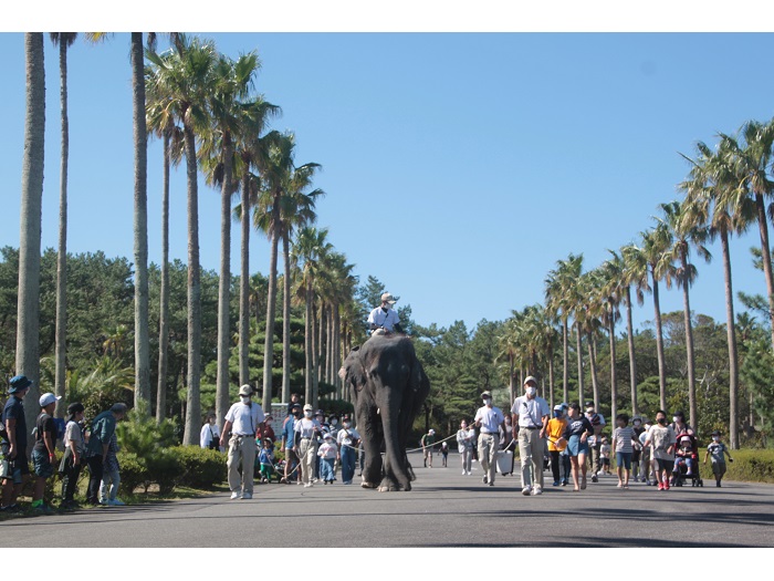 �{��s�t�F�j�b�N�X���R������