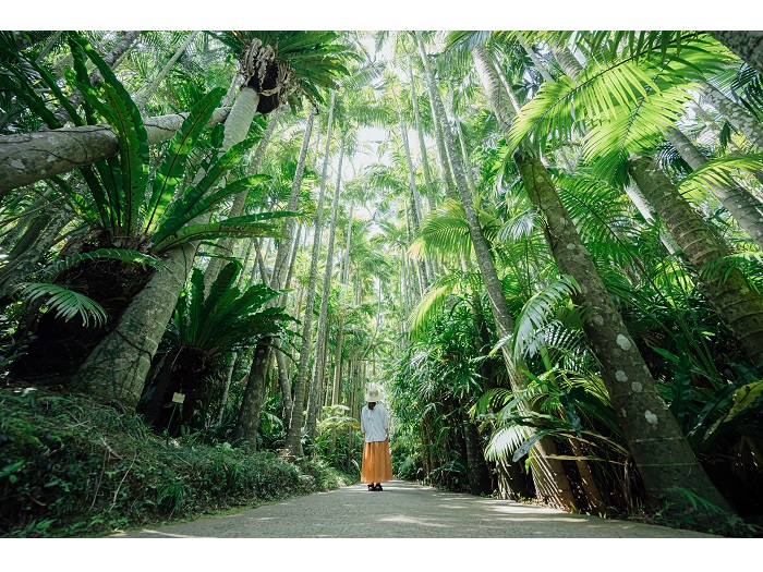 ���烄�V�p�[�N�I�L�i���E����A���y��