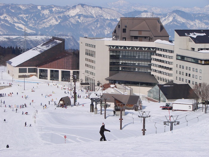 �j���[�E�O���[���s�A�Ó�̃C���[�W