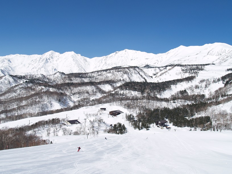 �������}�E���e�����]�[�g