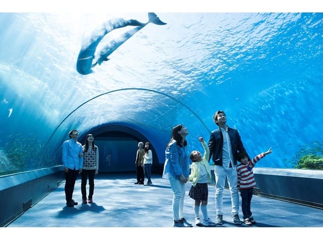 ���l�E���i���V�[�p���_�C�X�̃C���[�W