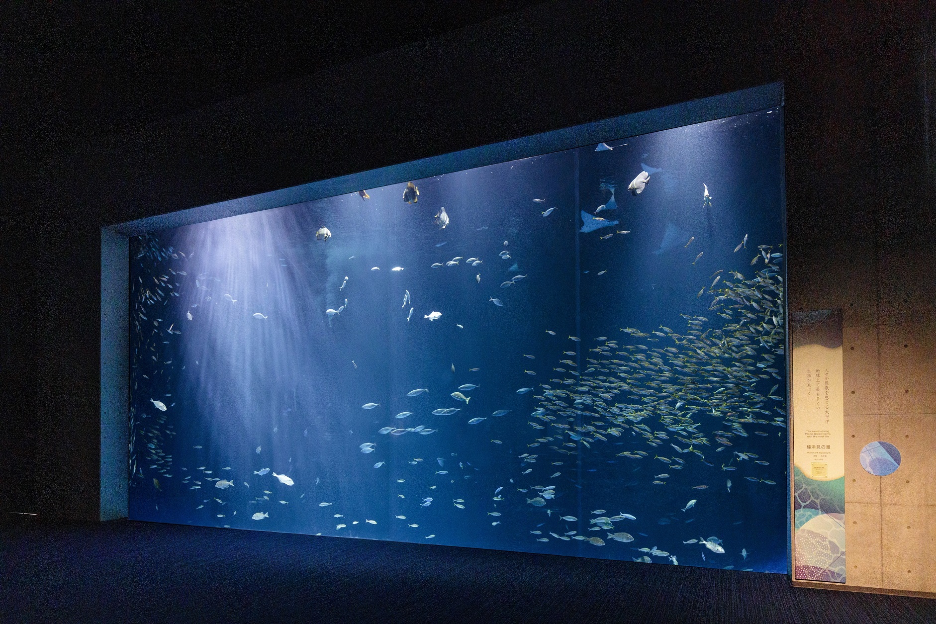 �l��������