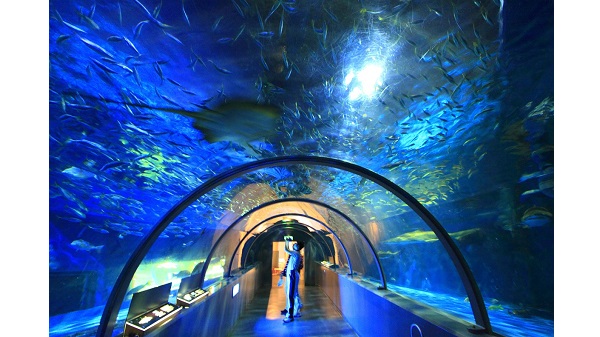 �o�ʃ}�����p�[�N�j�N�X