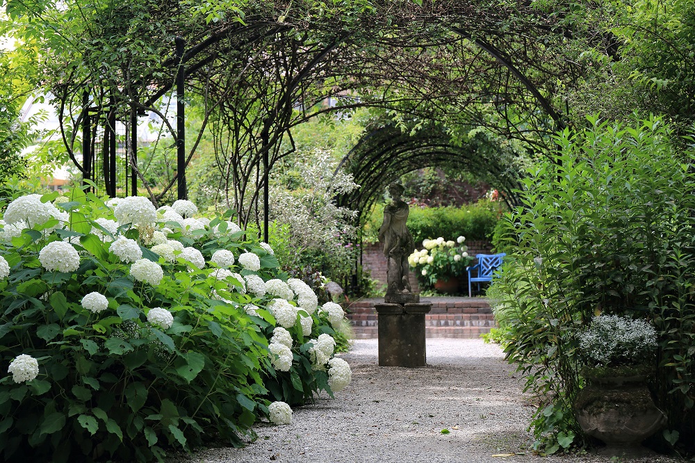 ���ȍ����o���N�� �C���O���b�V�� �K�[�f��