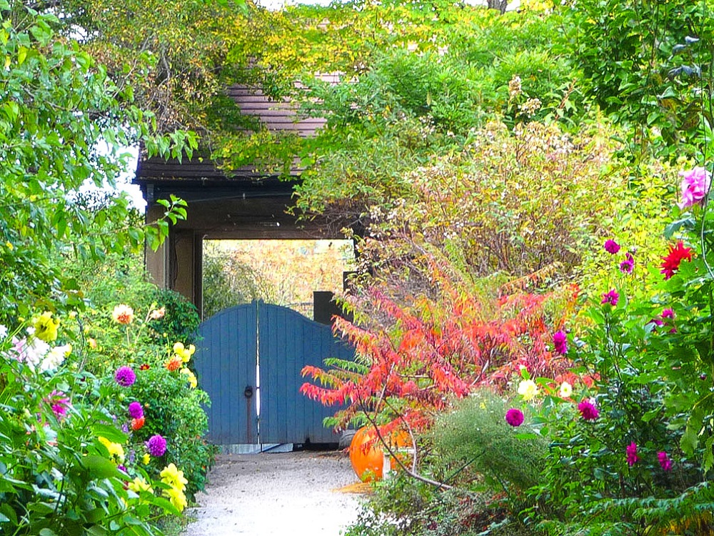 ���ȍ����o���N�� �C���O���b�V�� �K�[�f��