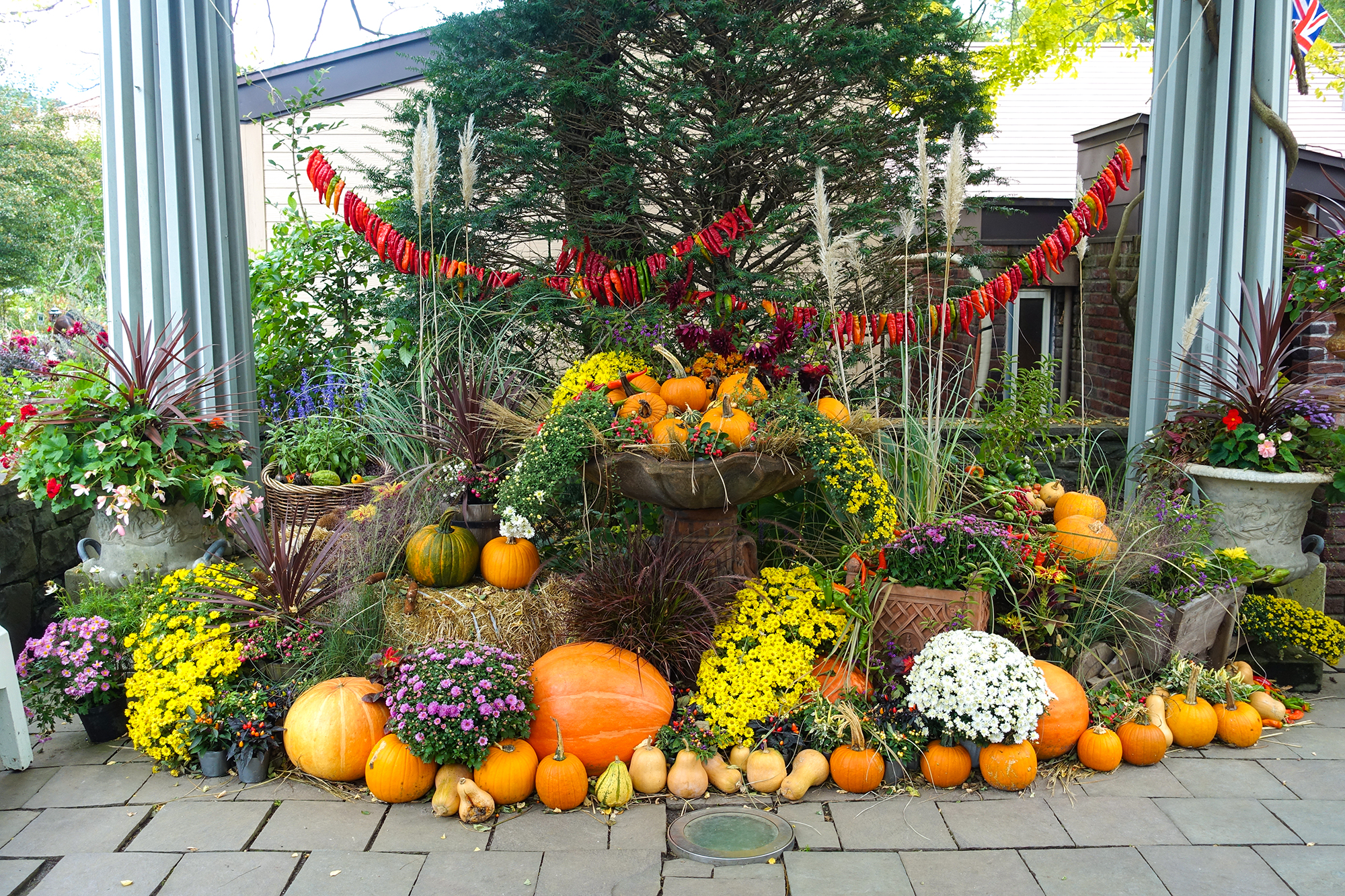 ���ȍ����o���N�� �C���O���b�V�� �K�[�f��