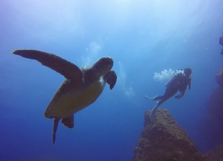 �c�����������k�������̃C���[�W