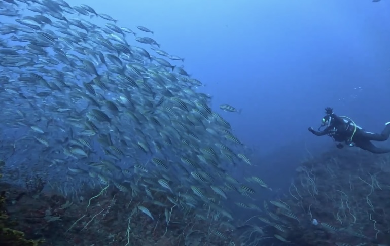 �c�����������k�������̃C���[�W