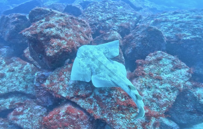 �c�����������k�������̃C���[�W