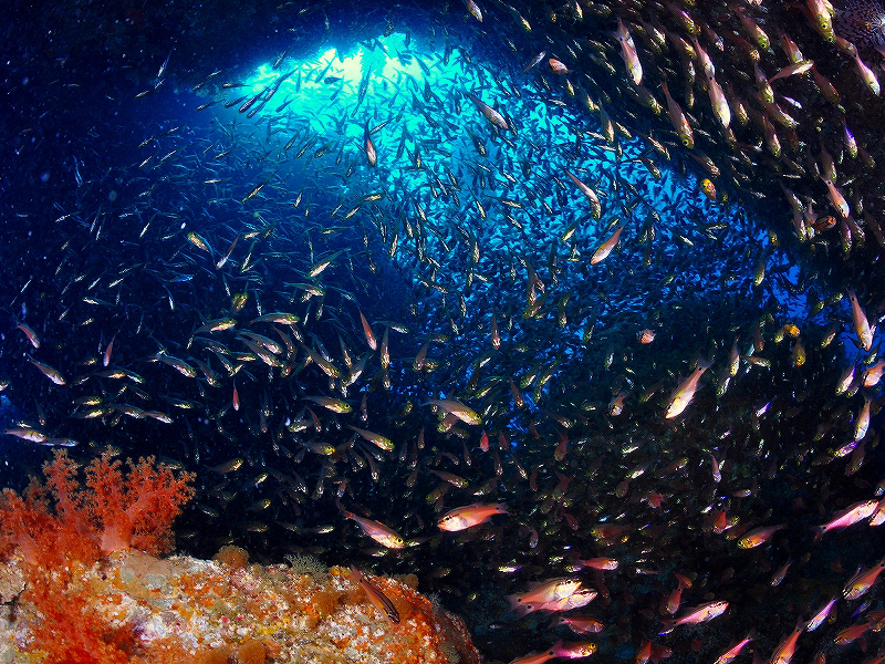 �c�����������k�������̃C���[�W