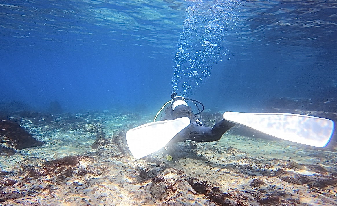 �c�����������k�������̃C���[�W