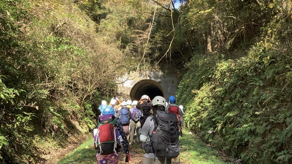 ����R�g���l������