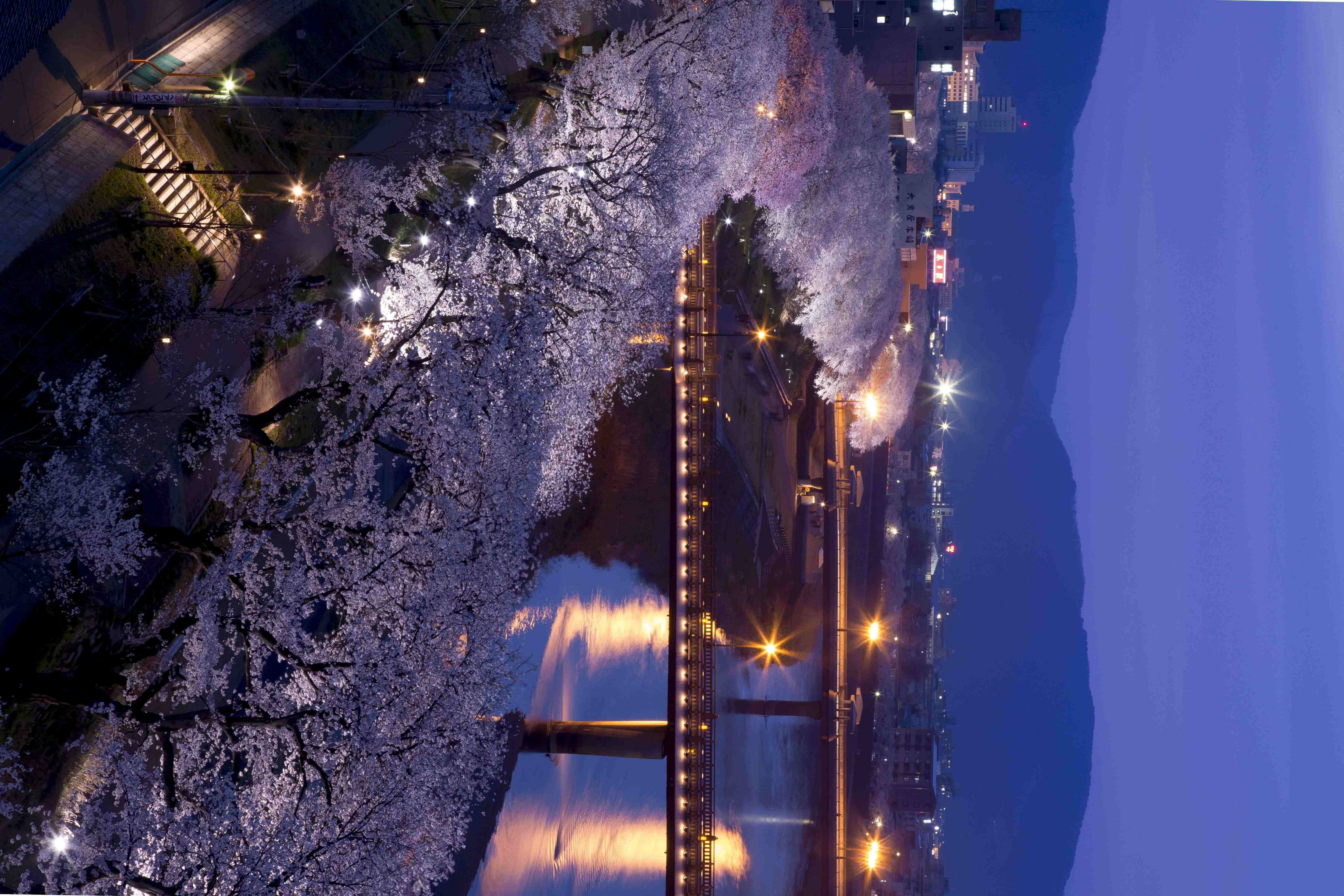 ���H�͌��i�t�E�C���[�W�j