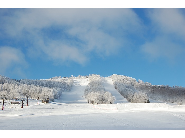 ���������p�C���r�[�N�X�L�[��̃C���[�W