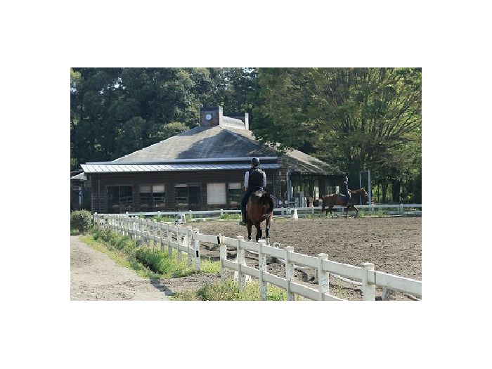 ��n�N���u�N���C��������̃C���[�W