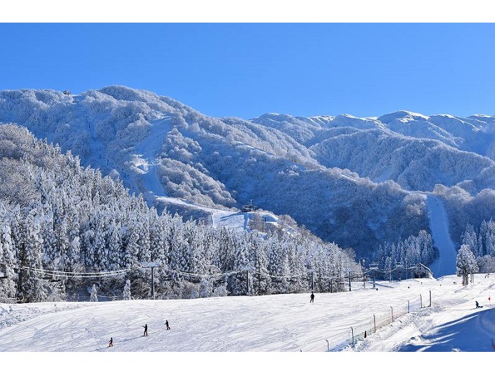 �j�m�b�N�X�X�m�[�p�[�N�̃C���[�W