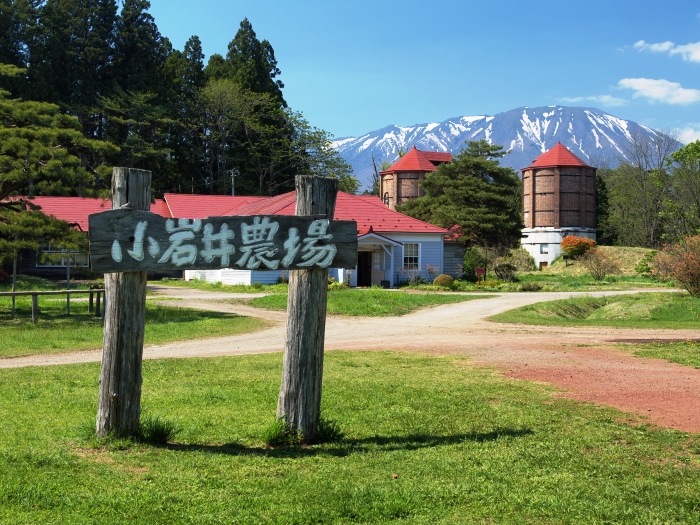 �����_��܂��Ή��̃C���[�W