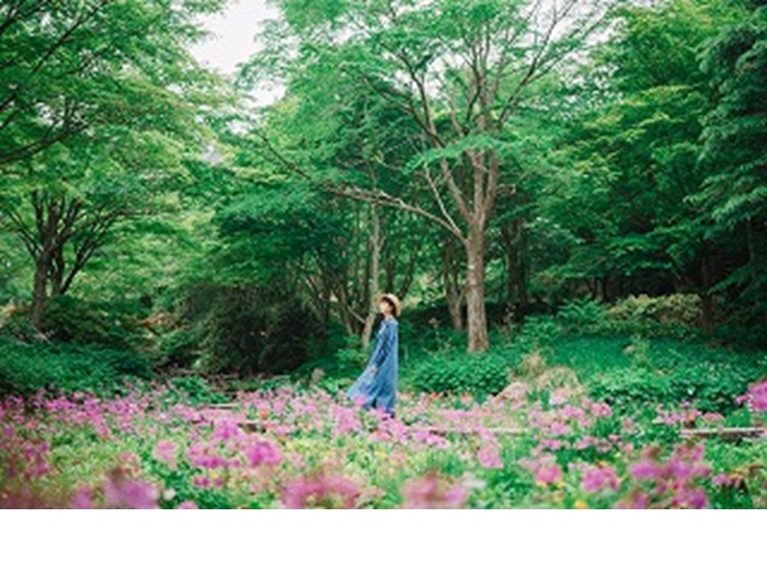 六甲高山植物園