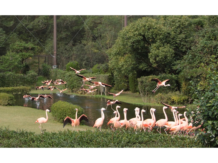 �{��s�t�F�j�b�N�X���R������