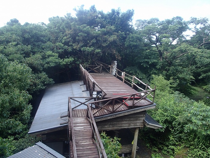 梢回廊キャノッピ