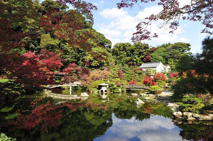 ���{�뉀�^���{�ї��@�̃C���[�W