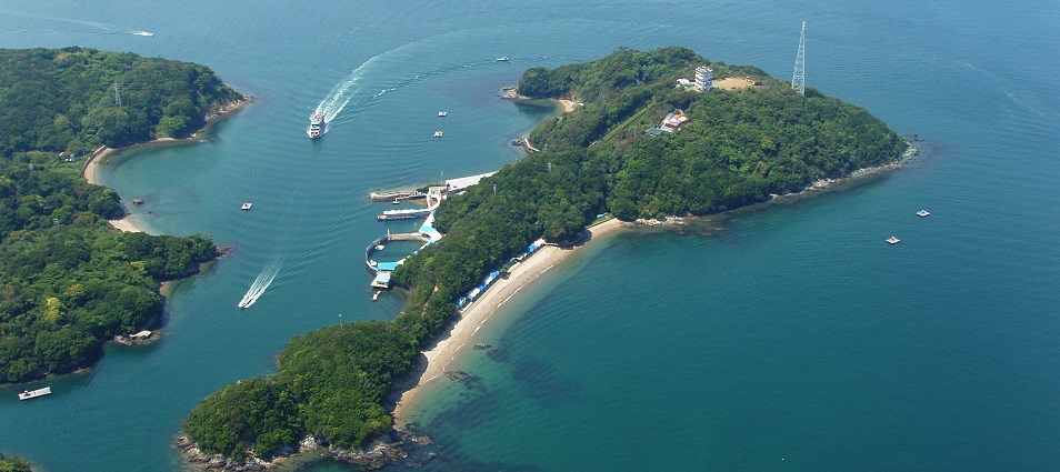 �u���}�������W���[