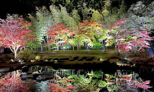 hMH̃CgAbv `ŕ`M̐E`̃C[W