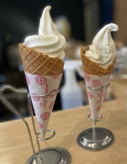 �E�C���O�q���Y�������]�[�g