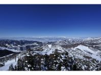 �u�ꍂ�������G���A�X�L�[��i�T���o���[�`��V���j�̃C���[�W