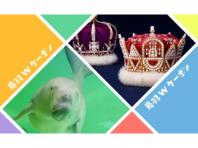 ���H�@�v�N�[�|���̃C���[�W