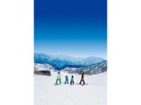 ���n�R���`�i�X�L�[��̃C���[�W