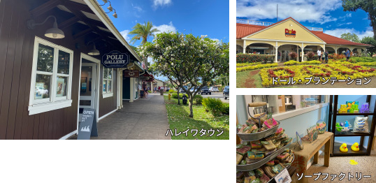 満喫ハレイワ・コース