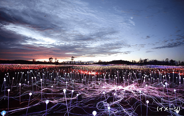 オーストラリア ノーザンテリトリー特集｜ルックJTB