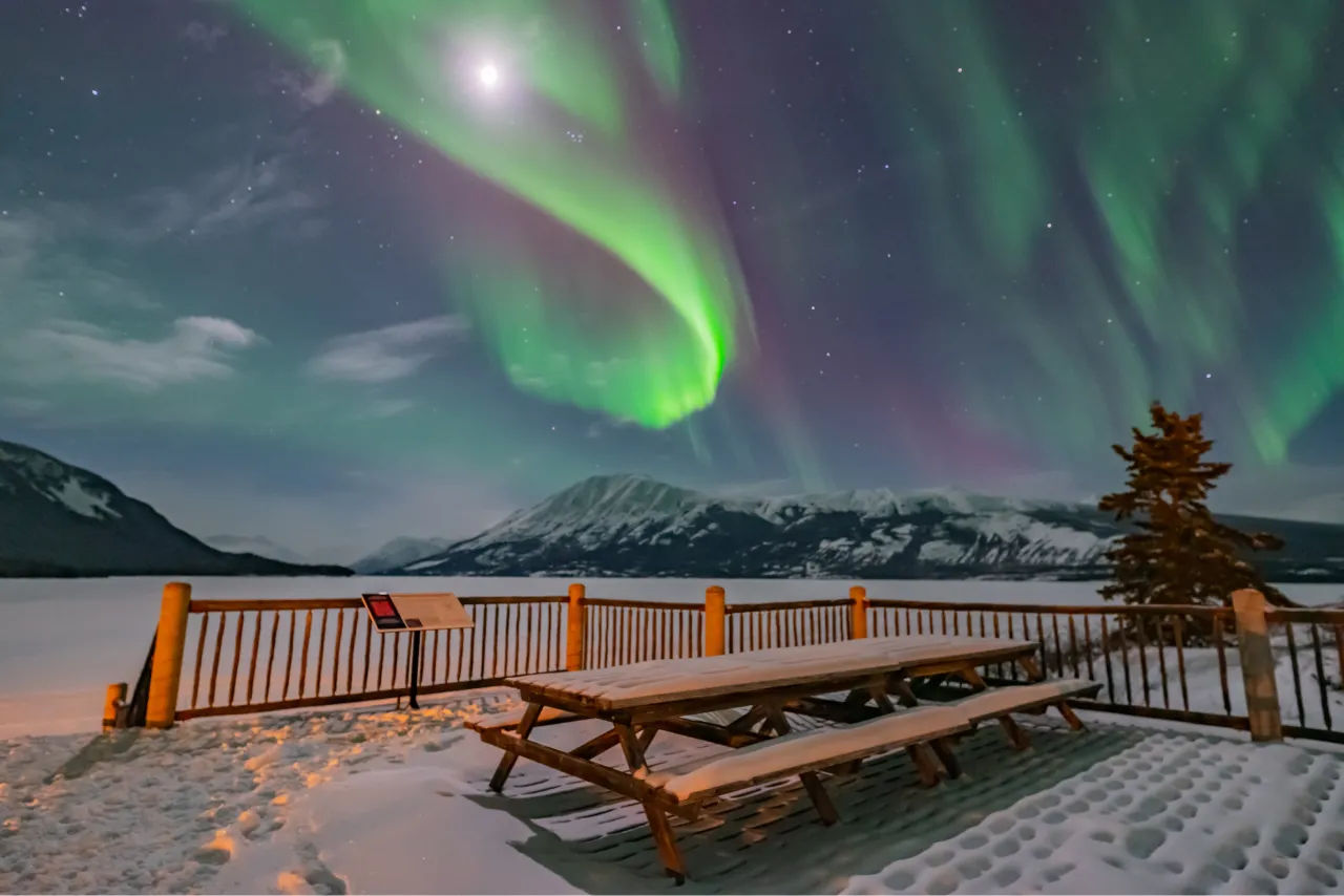 ホワイトホース