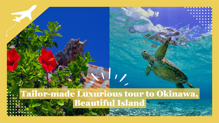 Beautiful Okinawa 8 days Beach, Nature and Traditional Culture banner image