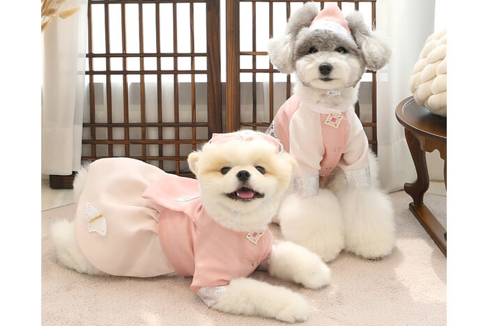 �`�}�`���S���i�C���[�W�j