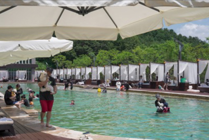 �v�[���i�C���[�W�j