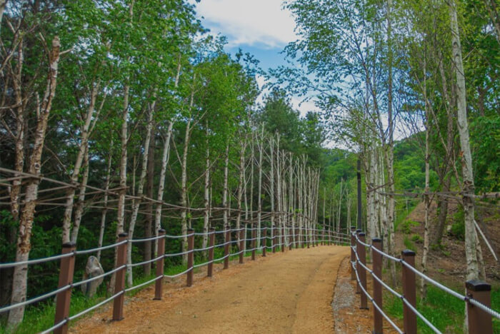 �����U�����i�C���[�W�j